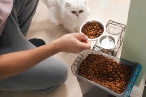 Pet Food Cross-Contamination